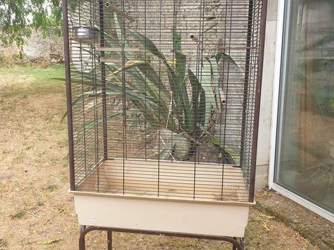 Cage oiseaux 30 17380 Landes