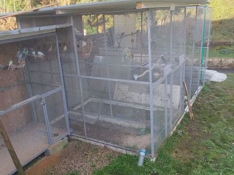 Volière 200 47200 Fourques-sur-garonne