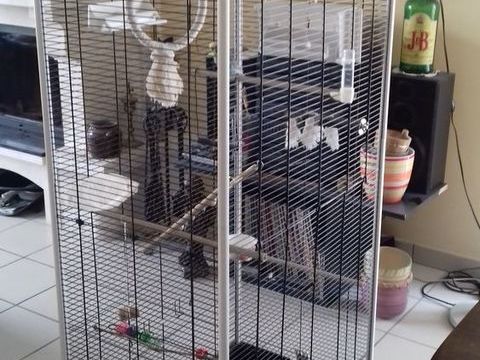 Cage pour perruches ondul&eacute;es, canaris, ins&eacute;parables...
100 33140 Villenave-d'ornon