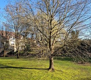  Appartement � vendre 4 pi�ces 94 m� Thionville