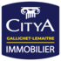 Citya Gallichet Lemaitre - Lyon 7e Arrondissement