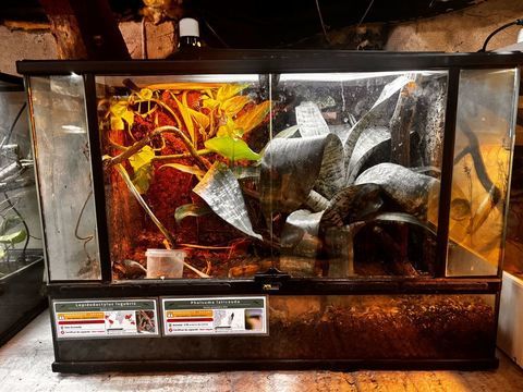 Terrarium terratlantis 90/45/60 350 56130 Théhillac