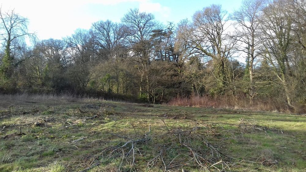 Terrains � batir   Monterfil (35160)