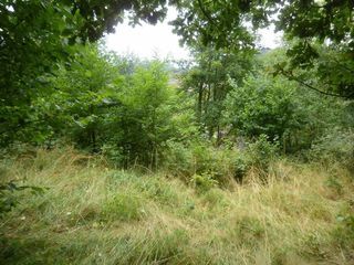  Terrain � vendre 1000 m�