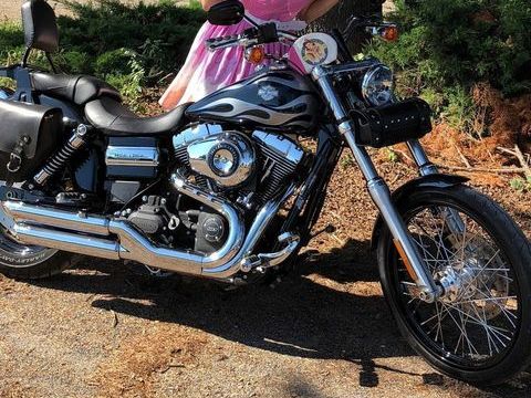 Moto HARLEY-DAVIDSON 2013 occasion Lourdes 65100