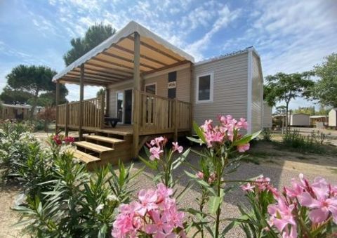 Mobil-Home Mobil-Home 2021 occasion Pont-Aven 29930