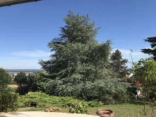  Maison � vendre 9 pi�ces 280 m�