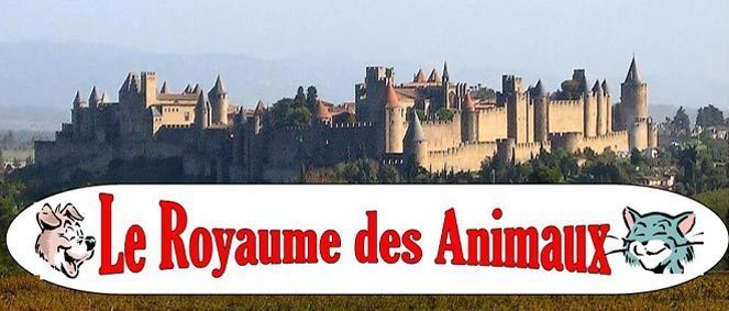 Le Royaume des Animaux, 11