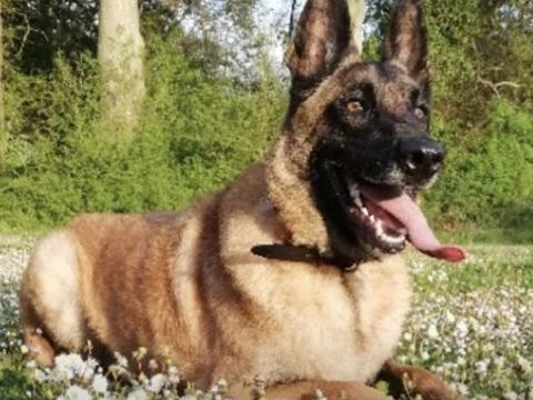 Leky 230 26700 Pierrelatte