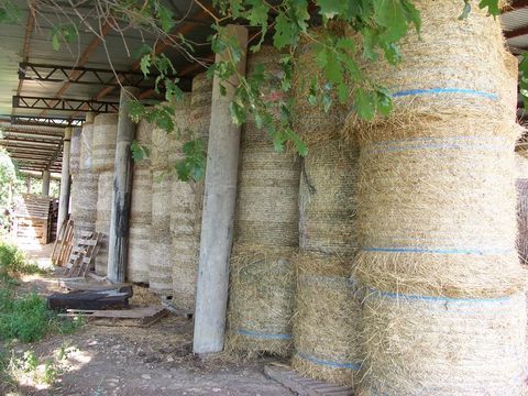 balles   ronde  foin  au    d&eacute;tail  
100 11200 L�zignan-corbi�res