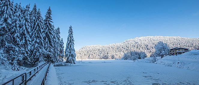 Agence Immo des Valles Vagney