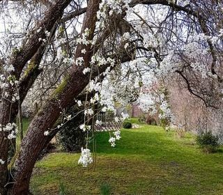  Maison � vendre 2 pi�ces 72 m�