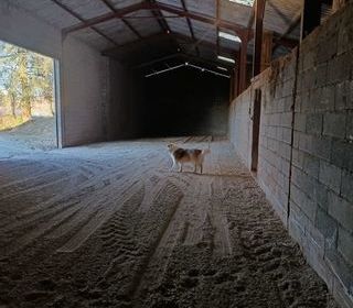  Parking / Garage � louer 200 m�