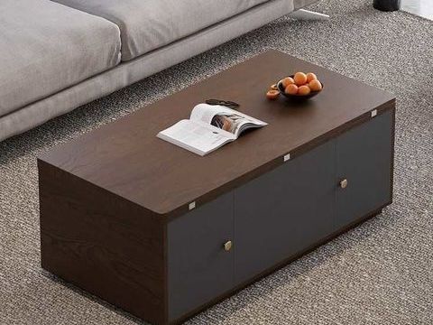 Table Basse Multifonctionnel avec Rangement - 330 Rouen (76)