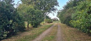  Ferme � vendre 15 + pi�ces 200 m�