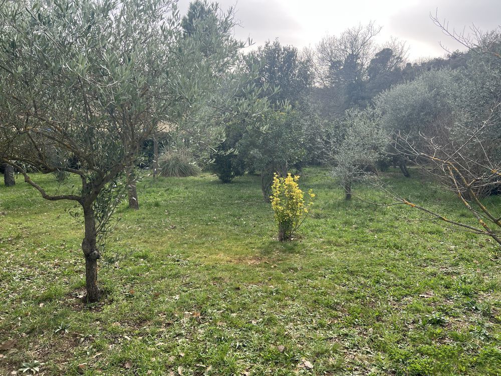 � vendre  Maison N�oules (83136)