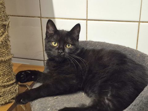 ARAGON 180 60000 Allonne