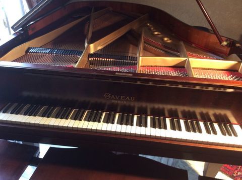 piano  1/2 queue   204cm 
5000 Villedubert (11)