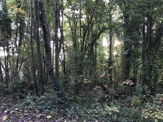  Terrain � vendre 1 m�