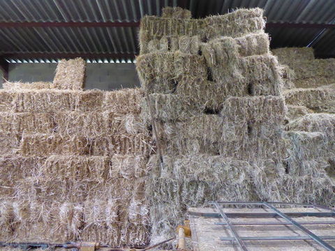 Foin en bottes 2 82440 R�alville