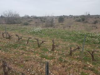  Terrain � vendre 7322 m�