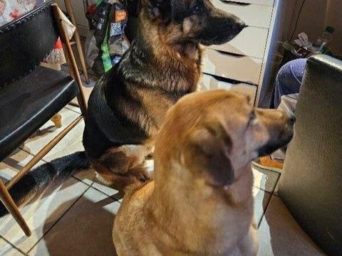 SAM et ORION 50 26300 Bourg-de-page