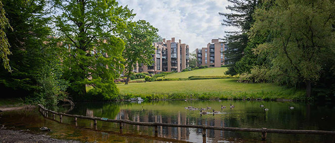 Agence LA MOUVALLOISE Mouvaux
