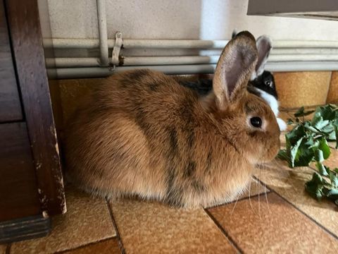 L&Eacute;ON 120 01000 Bourg-en-bresse