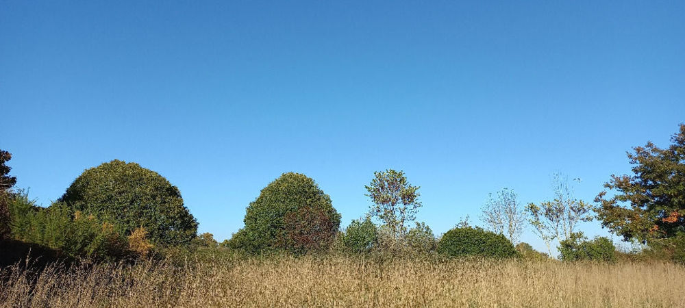 Terrains  batir   Saint-Martial-d'Artenset (24700)