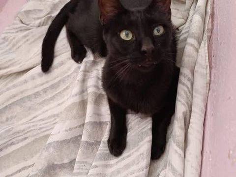 TEJO 220 95610 �ragny