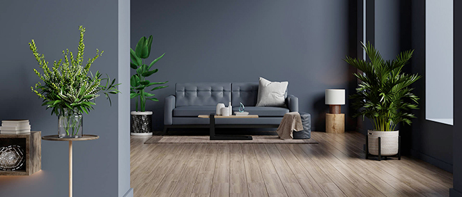 Agence AGENCE M Saint-Martin-Boulogne