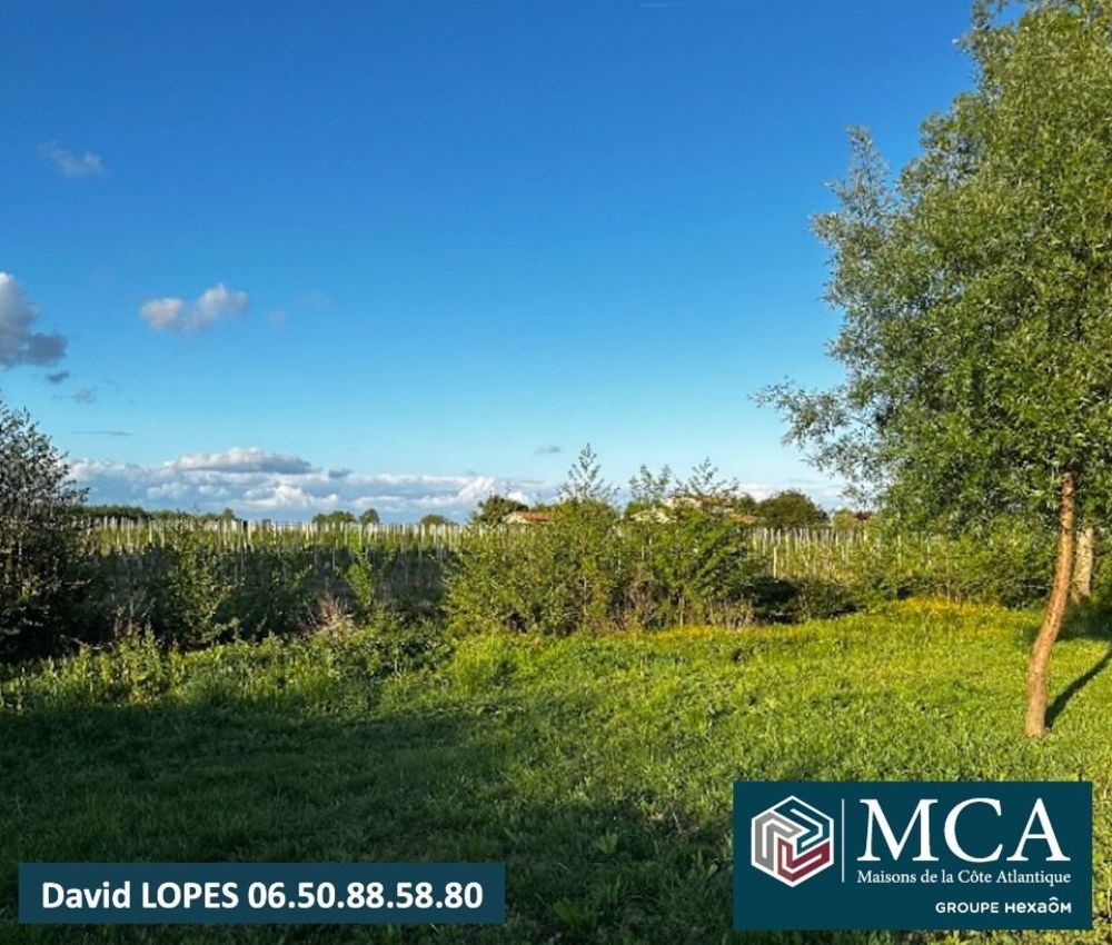 Maisons neuves   N�ac (33500)