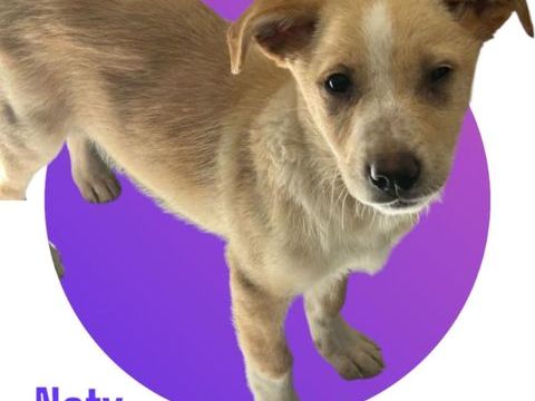 NATY : ils ont massacr&eacute; toute ma famille ! 😭 300 28250 Senonches