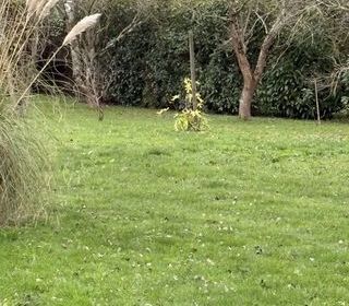  Maison � vendre 5 pi�ces 140 m�