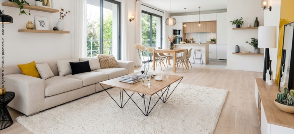 Appartements neufs   La Haie-Fouassi�re (44690)