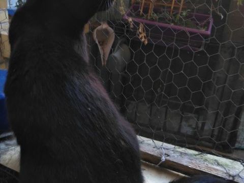 MIGNONETTE 210 92400 Courbevoie