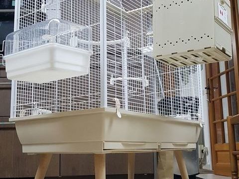 Voli&egrave;re pour perruches 275 45230 La bussi�re