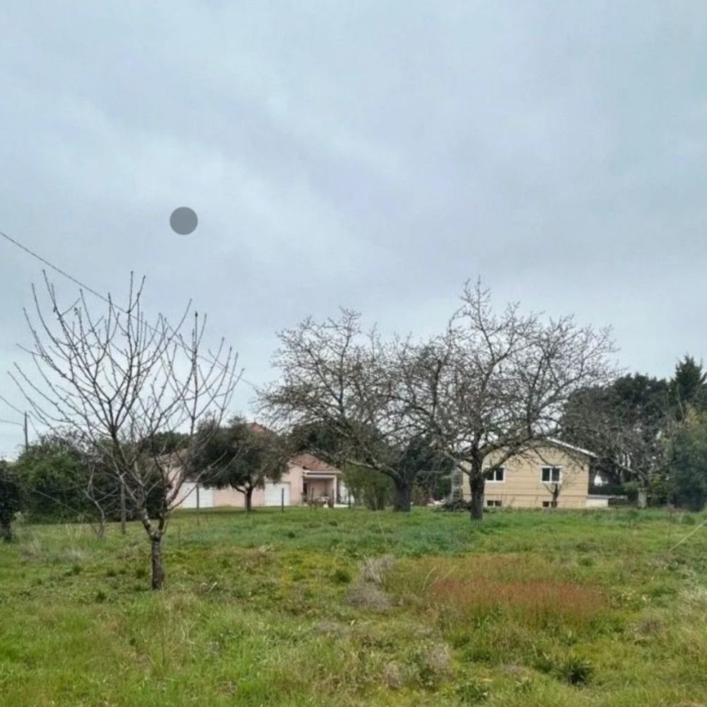   Buzet-sur-Ba�se (47160)