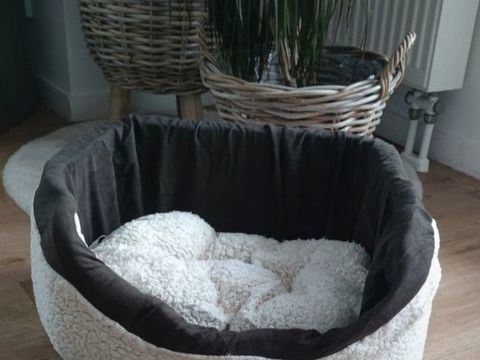 panier chien 25 59800 Lille