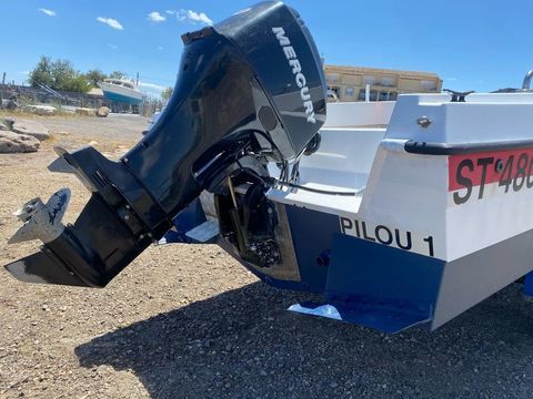 Bateaux &agrave; moteur P&ecirc;che-promenade 1979 occasion Marseillan 34340