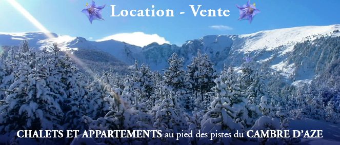 Agence AGENCE LES GENTIANES Eyne