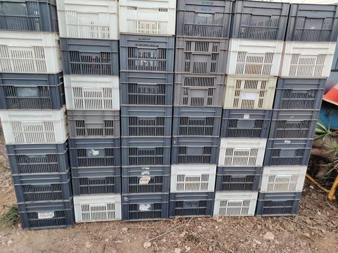 Caisses plastiques transport 50x30x20h 6 Saint-Jean-de-Fos (34)