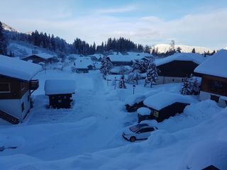  Duplex/triplex � louer 2 pi�ces 36 m�