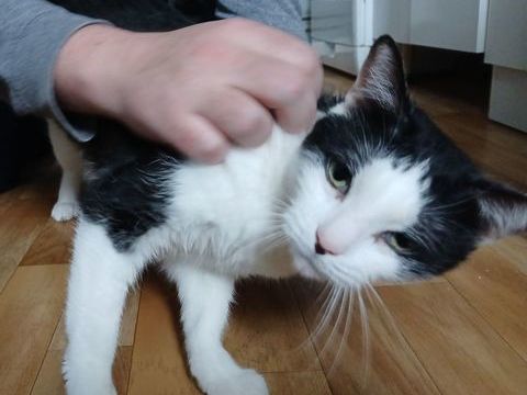 Marin 190 59113 Seclin