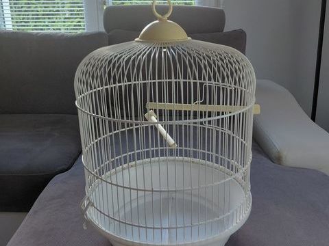 Cage &agrave; oiseaux 50 44190 Clisson