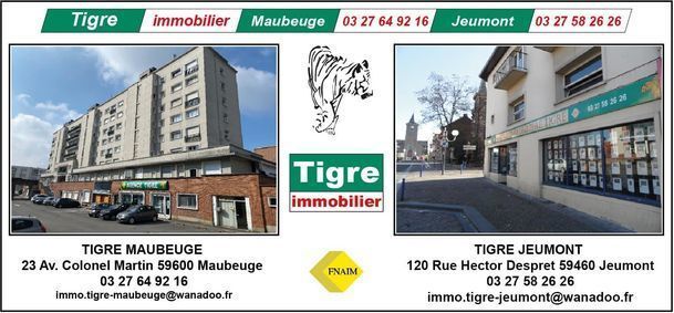 TIGRE IMMOBILIER MAUBEUGE, agence immobilire 59