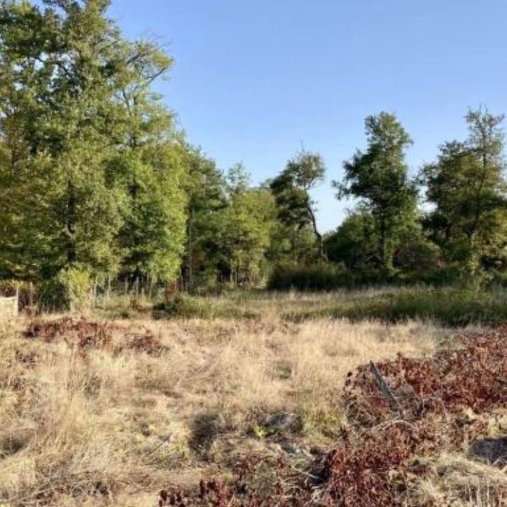 Maisons neuves   Saint-Gens-de-Lombaud (33670)