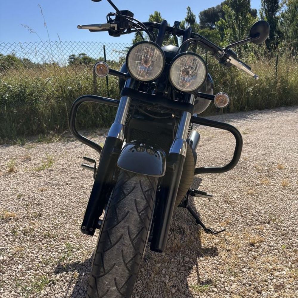 TRIUMPH 2017 occasion 83210 La Farl&egrave;de