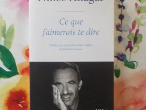 CE QUE J'AIMERAIS TE DIRE par Nikos ALIAGAS Ed. NiL 3 Bubry (56)