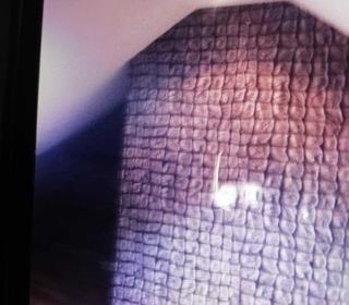  Maison � louer 1 pi�ce 25 m�